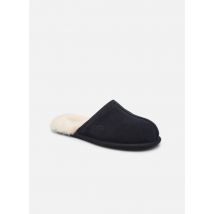 UGG M Scuff Bleu - Chaussons - Disponible en 51