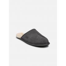UGG M Scuff Gris - Chaussons - Disponible en 49 1/2