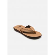 Tongs Carver Nubuck Marron - Quiksilver - Disponible en 39