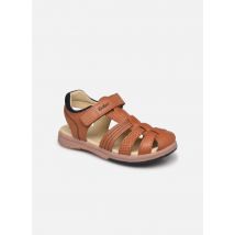 Sandalen Platinium Bruin - Kickers - Beschikbaar in 33