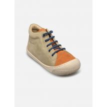 Chaussures à lacets Cocoon Multicolore - Naturino - Disponible en 22