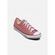 Converse Chuck Taylor All Star Dainty Ox W Rose - Baskets - Disponible en 37
