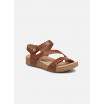 Sandales et nu-pieds Tonga 25 Marron - Josef Seibel - Disponible en 39