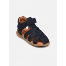 Sandalen Tafari Blauw - Babybotte - Beschikbaar in 25