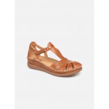Sandales et nu-pieds Cadaques W8K-0802 Marron - Pikolinos - Disponible en 35