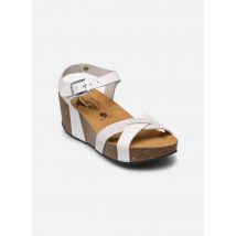 Sandalen So Final Wit - Plakton - Beschikbaar in 39