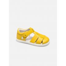 Bobux Tidal - Ballerines - Disponible en 22