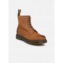 Bottines et boots 1460 Pascal Marron - Dr. Martens - Disponible en 44