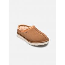UGG M Tasman Marron - Chaussons - Disponible en 40