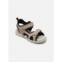 Sandales et nu-pieds Scorpius Beige - Superfit - Disponible en 35
