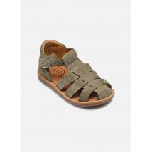 Sandalen Poppy Daddy grün - Pom d Api - Größe 19