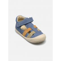 Ballerines Bede Bleu - Naturino - Disponible en 28