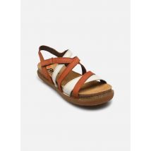 Sandales et nu-pieds RHODES 1714 Multicolore - Art - Disponible en 38