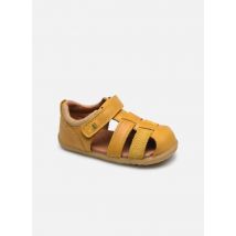 Bobux Roam - Sandales et nu-pieds - Disponible en 23