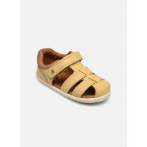 Bobux Roam - Sandales et nu-pieds - Disponible en 23