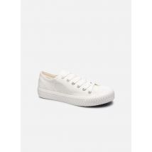 Chattawak ROMAN Blanc - Baskets - Disponible en 40