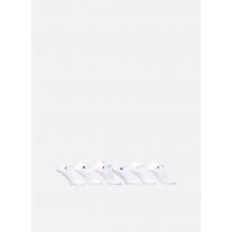 Polo Ralph Lauren Lot De 6 Paires De Chaussettes Basses - Chaussettes et collants - Disponible en T.U