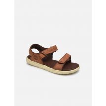 Timberland NUBBLE LTHR FSHRMN Marron - Sandales et nu-pieds - Disponible en 23