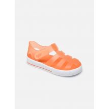 Igor Star - Sandales et nu-pieds - Disponible en 18