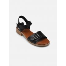 Kickers BUCIDI Noir - Sandales et nu-pieds - Disponible en 39