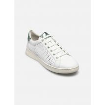 Geox D JAYSEN Blanc - Baskets - Disponible en 39