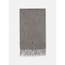 Echarpes et Foulards Scarf Wool Cashmire Gris - Faguo - Disponible en T.U