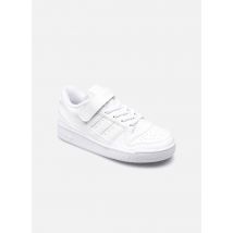adidas originals Forum Low C Wit - Sneakers - Beschikbaar in 29