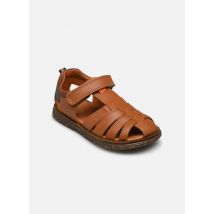 Sandales et nu-pieds Kiko Marron - Babybotte - Disponible en 25