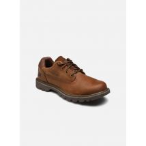 Schnürschuhe COLORADO LOW beige - Caterpillar - Größe 44