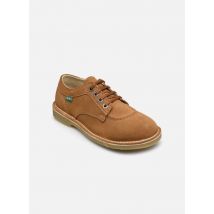 Kickers KICK KARMA Marron - Chaussures à lacets - Disponible en 36