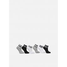 Socken & Strumpfhosen Wordmark Ankle 6Pk mehrfarbig - Converse Apparel - Größe 27 - 30