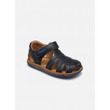 Camper Bicho 80372 FW Kids - Sandales et nu-pieds - Disponible en 21