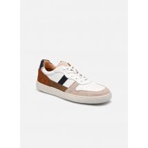 Minelli H612104LIS Marron - Baskets - Disponible en 41