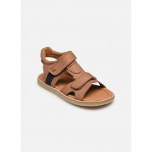 Sandales et nu-pieds Africa 4853 Marron - El Naturalista - Disponible en 25