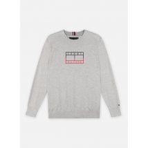 Tommy Hilfiger Sweatshirt Gris - Disponible en 4A