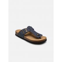 Scholl YVES COLLECTION - Tongs - Disponible en 45