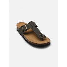 Scholl YVES COLLECTION - Tongs - Disponible en 44