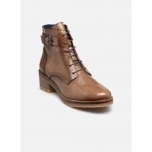 Stiefeletten & Boots LUCERO D8686 braun - Dorking - Größe 36