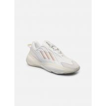 adidas originals Ozrah Wit - Sneakers - Beschikbaar in 46