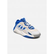 adidas originals Streetball Ii Blanc - Baskets - Disponible en 46