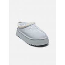 UGG W Tazz Bleu - Chaussons - Disponible en 41