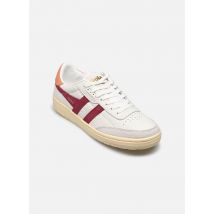 Gola FALCON Blanc - Baskets - Disponible en 37