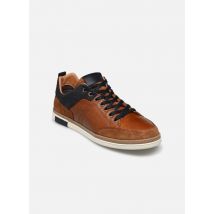 Marvin&Co WOMITA braun - Sneaker - Größe 44
