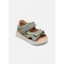 Sandales et nu-pieds LAGOON Vert - Superfit - Disponible en 24