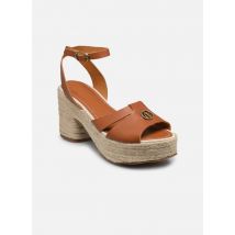 Sandales et nu-pieds TAFFY DAY Marron - Pepe jeans - Disponible en 39