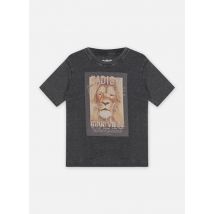 Zadig & Voltaire T-shirt Gris - Disponible en 8A