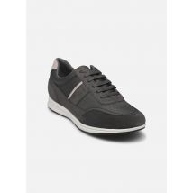 Geox U AVERY Gris - Baskets - Disponible en 45