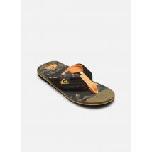 Zehensandalen MOLOKAI LAYBACK II YOUTH mehrfarbig - Quiksilver - Größe 33