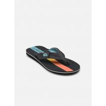 Zehensandalen MOLOKAI LAYBACK II mehrfarbig - Quiksilver - Größe 46