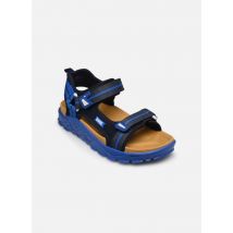 Sandalen PZG 39725 Blauw - Primigi - Beschikbaar in 31